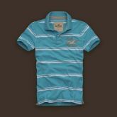 Camiseta Polo Hollister